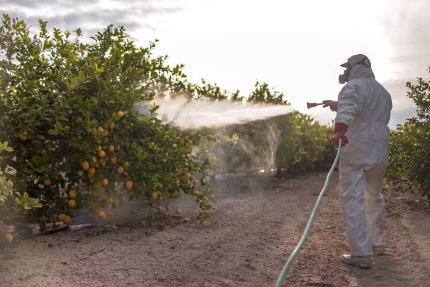 Bird Control in Jerome, ID